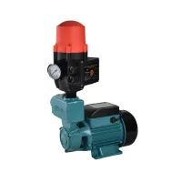 WZ 250 Hydrofor z BRIO SK13