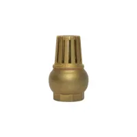 ZAWÓR ZWROTNY KLAPOWY Z KOSZEM SSĄCYM 5/4''