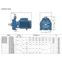 Pompa wielostopniowa 2CP 25/16C