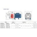 Pompa samossąca, wielostopniowa PEDROLLO PLURIJETm 4/100X 0,75kW