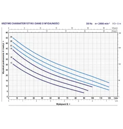 Pompa samozasysająca Pedrollo FUTURE JET 2A 230V/400V 1,1kW