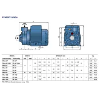 Pompa peryferalna PEDROLLO PK 100 3x230V / 400V 1,1kW