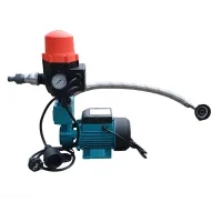 Pompa do deszczówki, ogrodu, mausera (mauzera) 250 W komplet z BRIO SK-13