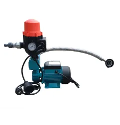 Pompa do deszczówki, ogrodu, mausera (mauzera) 250 W komplet z BRIO SK-13